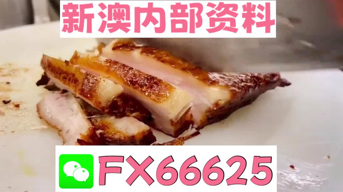 新奧長期免費資料大全，探索與啟示，新奧長期免費資料大全，深度探索與啟示