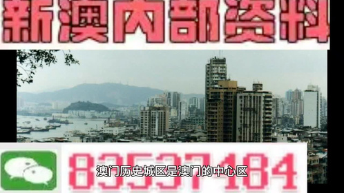 潛在風(fēng)險(xiǎn)與違法犯罪問題揭露