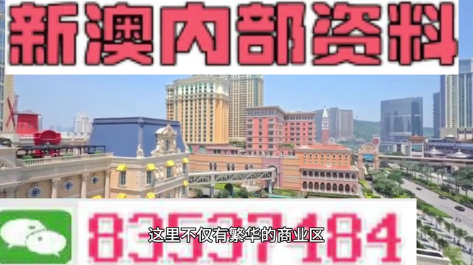關(guān)于新澳新澳門(mén)正版資料的探討與警示——警惕違法犯罪問(wèn)題，關(guān)于新澳新澳門(mén)正版資料的探討，警惕違法犯罪風(fēng)險(xiǎn)！