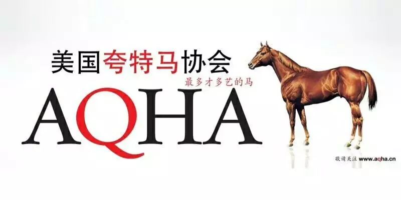 2024特馬最新開獎(jiǎng)結(jié)果
