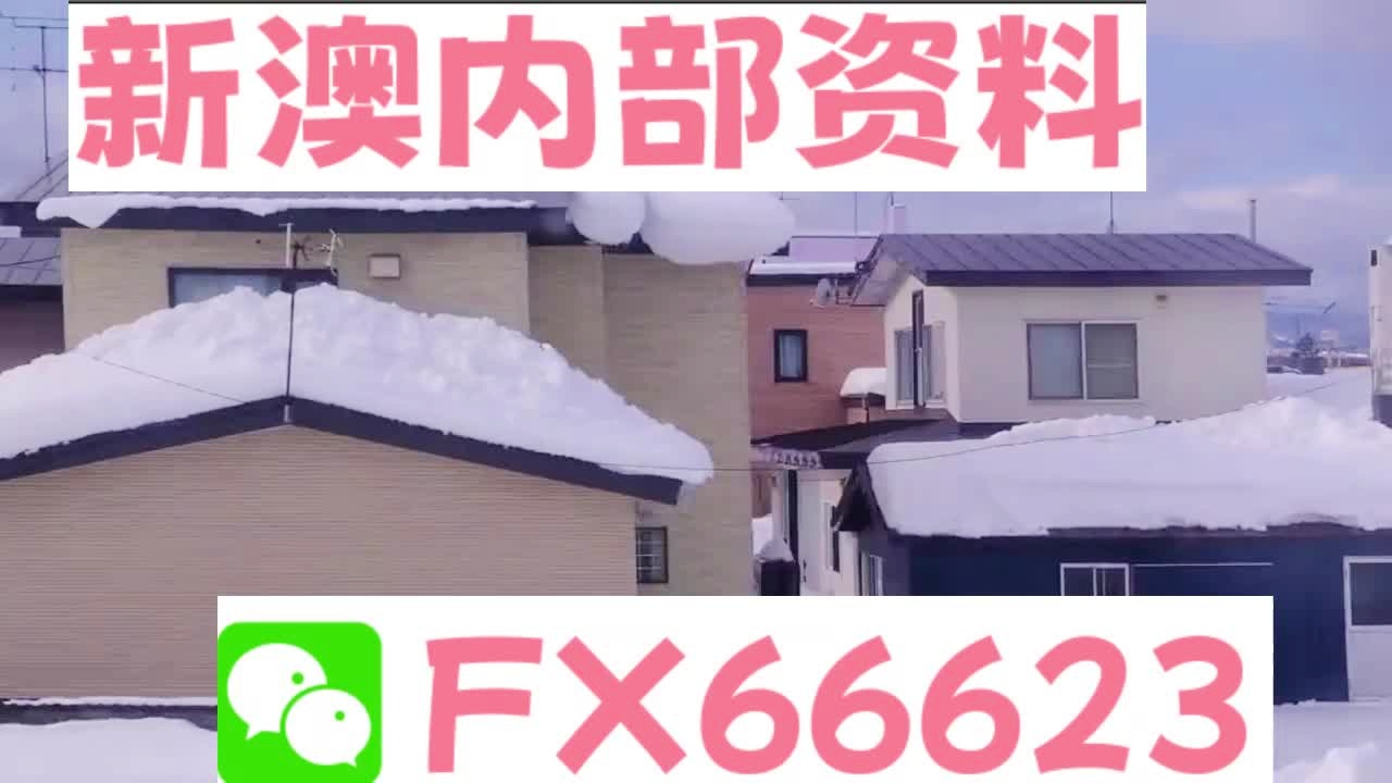 新奧天天精準資料大全，深度解析與實際應用，新奧天天精準資料大全，深度解析及實際應用指南