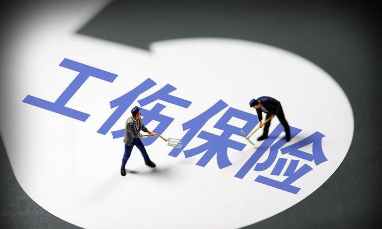探索未知領域，2024全年資料免費大全，探索未知領域，2024全年資料免費大全總覽