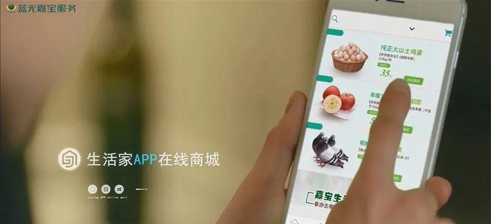 藍光股票股吧最新消息全面解讀，藍光股票股吧最新消息全面解讀與分析