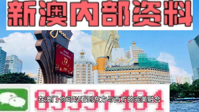 新澳新澳門正版資料，探索與解析，新澳新澳門正版資料深度解析與探索