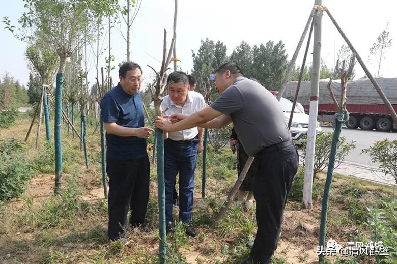 精準一肖，揭秘預測技巧，百分之百免費，揭秘精準預測生肖技巧，百分之百免費，一肖預測揭秘！