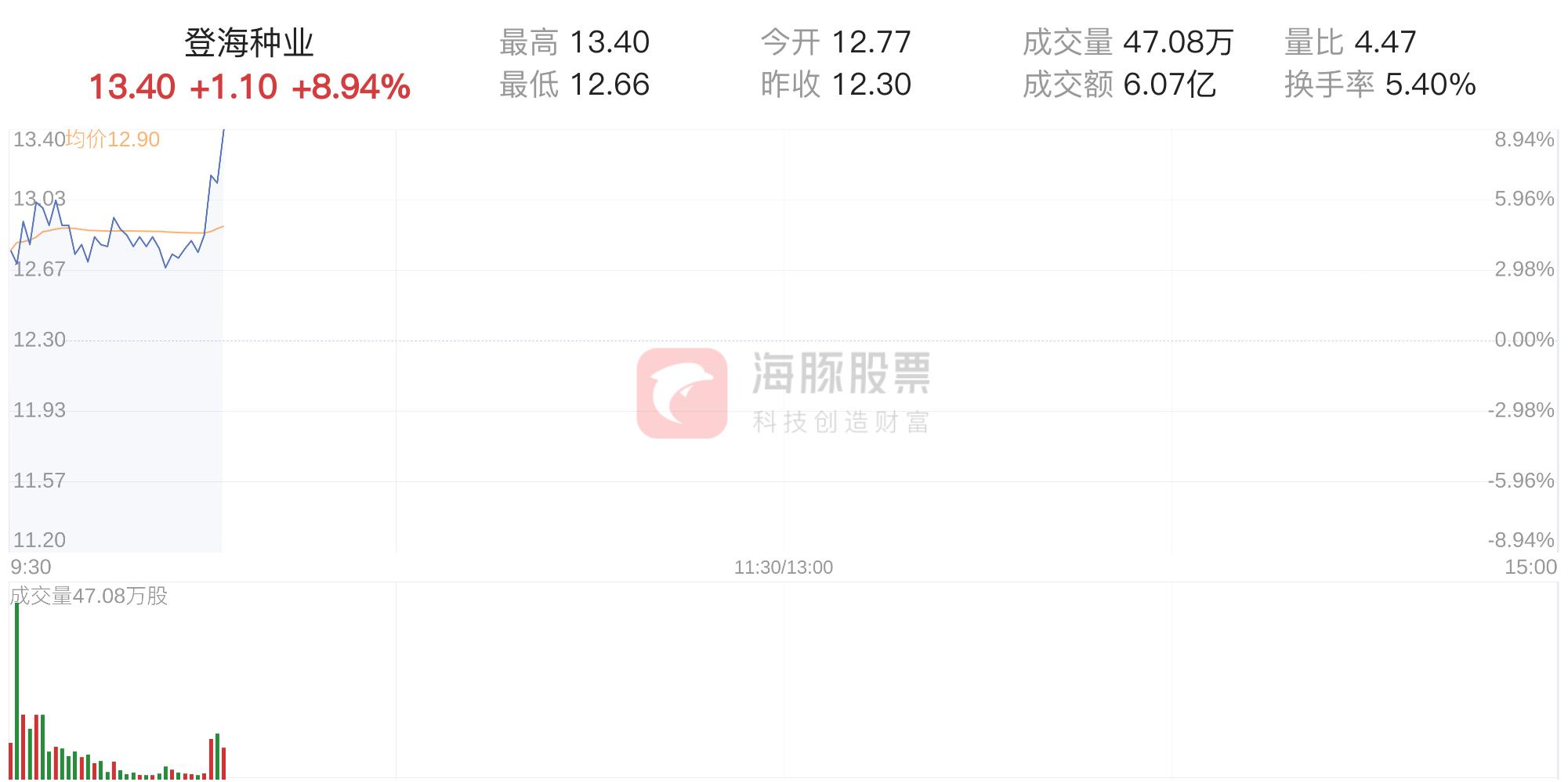 登海種業(yè)發(fā)行價(jià)揭秘，市場走勢與前景展望，登海種業(yè)發(fā)行價(jià)揭秘，市場走勢及前景展望分析