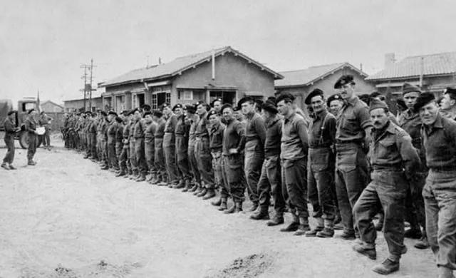 志愿軍，百集傳奇的榮耀與犧牲，百集傳奇背后的榮耀與犧牲，志愿軍的故事