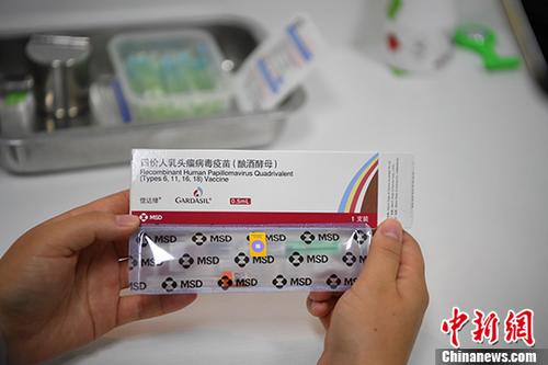 二四六香港管家婆期期準資料，深度解析與預(yù)測分析，二四六香港管家婆期期準資料深度解析與精準預(yù)測分析