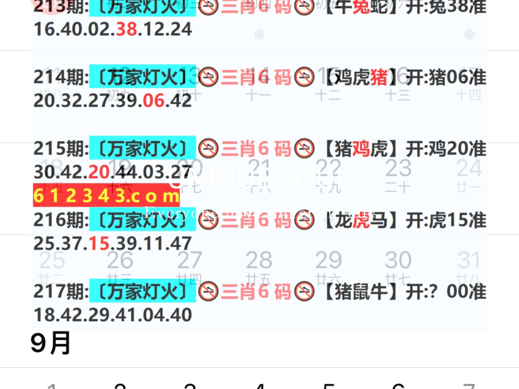 新澳門彩單雙走勢(shì)，探索與解析，新澳門彩單雙走勢(shì)深度解析與探索