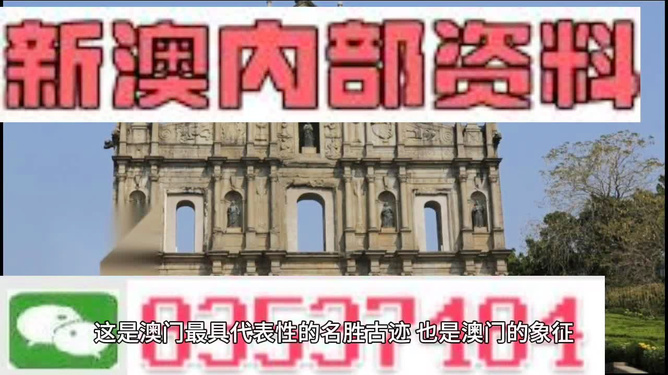 澳門天天免費精準大全——揭示違法犯罪問題，澳門違法犯罪問題揭秘，天天免費精準大全曝光