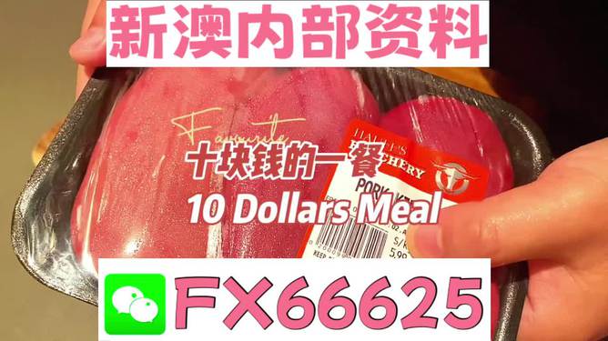 新澳精準(zhǔn)資料免費提供，探索第510期的價值與奧秘，新澳第510期資料揭秘，探索價值與奧秘的精準(zhǔn)指南