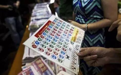 開獎(jiǎng)記錄表深度解析