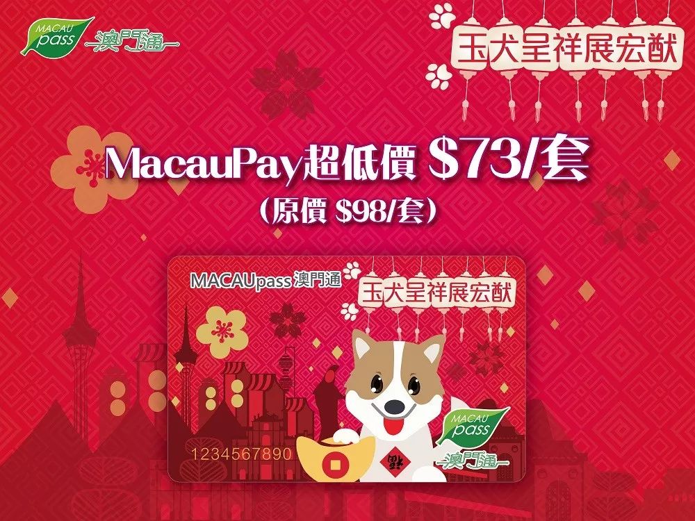 澳門今晚買什么生肖好一點——探索生肖運勢與博彩文化交融的魅力，澳門生肖運勢與博彩文化交融的魅力，今晚買什么生肖更好？