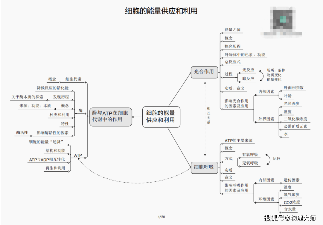 白小姐三肖三期必開獎——虎年快樂的美好寓意，白小姐三肖三期必開獎，虎年美好寓意迎好運