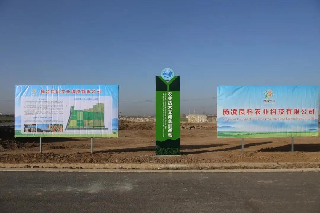 登海種業(yè)最新公告解析，登海種業(yè)最新公告深度解讀