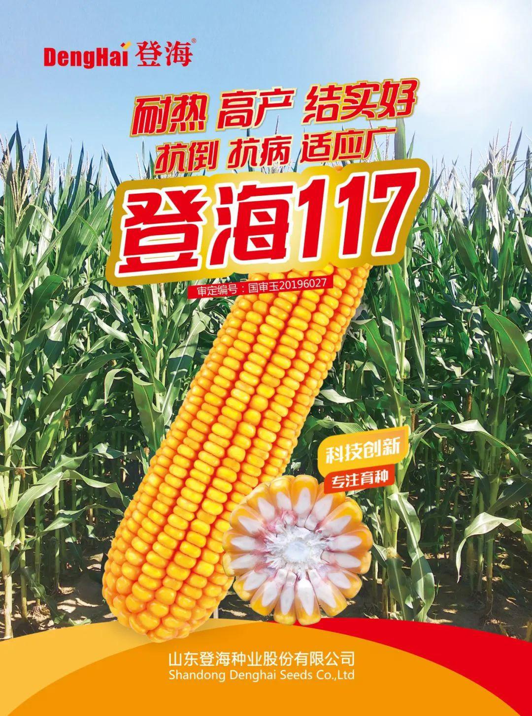 登海種業(yè)最新消息深度解析，登海種業(yè)最新消息全面解析