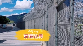 澳門鐵盤算盤網(wǎng)——探索數(shù)字時(shí)代的智慧之選，澳門鐵盤算盤網(wǎng)，數(shù)字時(shí)代的智慧投資探索