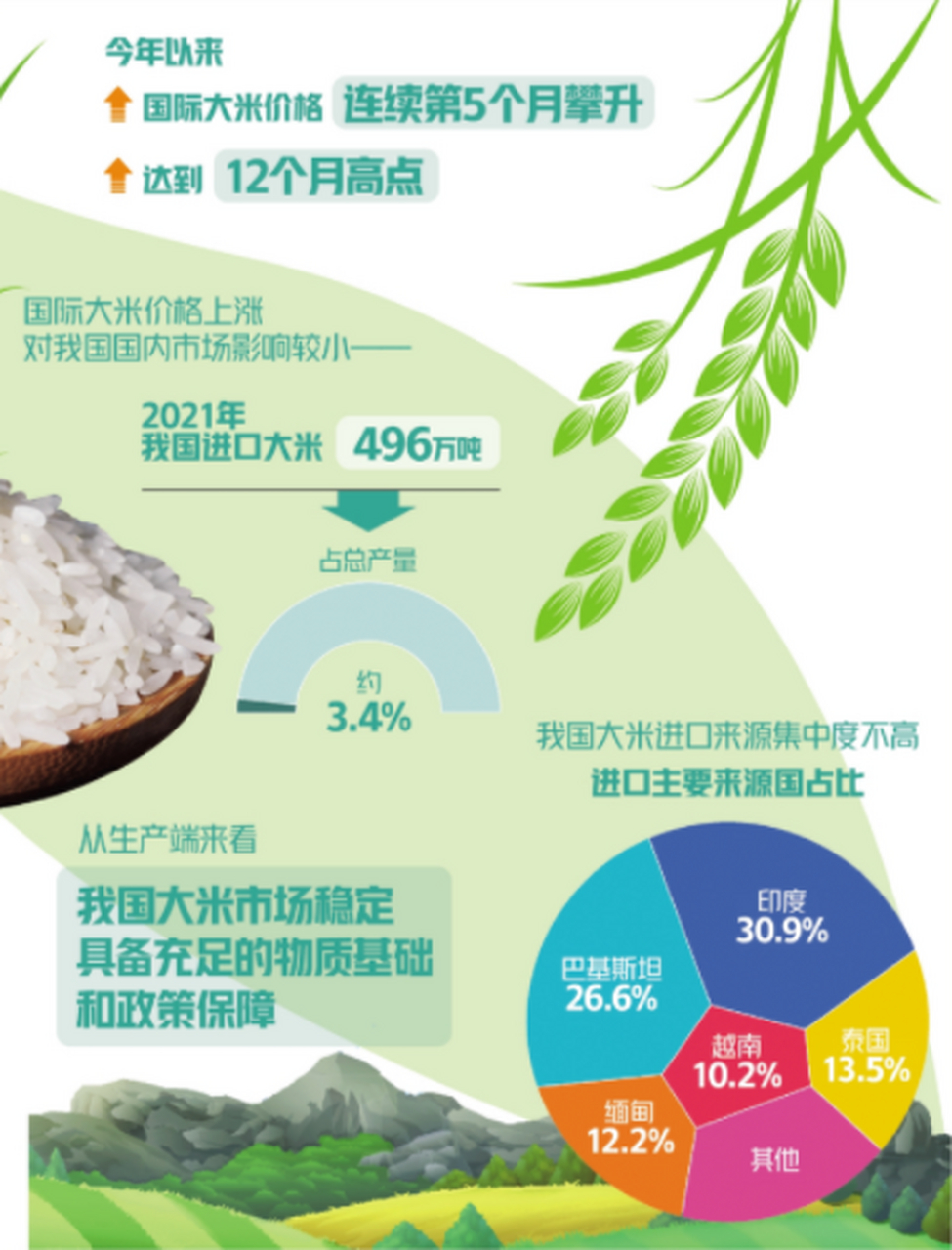 國際大米價(jià)格下跌原因深度解析，國際大米價(jià)格下跌原因深度探究