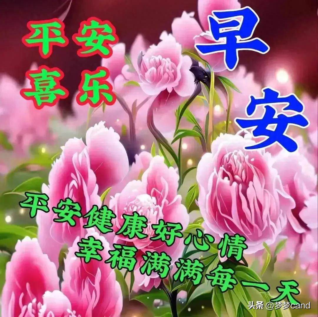 2024天天彩正版資料大全——探索彩票世界的寶藏之門(mén)，彩票秘籍揭秘，探索寶藏之門(mén)——天天彩正版資料大全 2024版