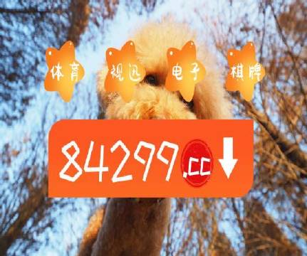 澳門天天六開彩正版澳門，揭示背后的違法犯罪問題，澳門天天六開彩背后的違法犯罪問題揭秘