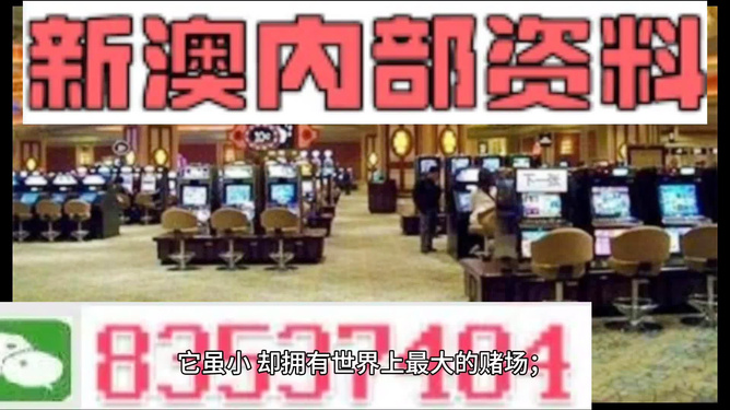 新澳2024正版資料免費公開，探索與揭秘，新澳2024正版資料揭秘，免費公開的探索之旅