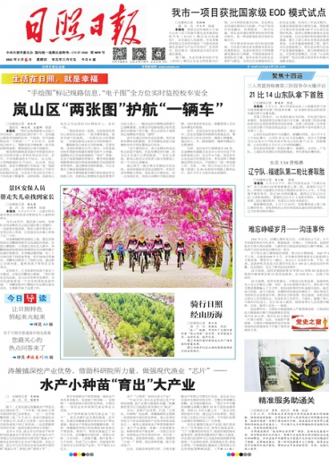一肖一碼免費(fèi)公開，揭秘背后的真相與實(shí)質(zhì)，揭秘一肖一碼背后的真相與實(shí)質(zhì) 免費(fèi)公開揭秘真相