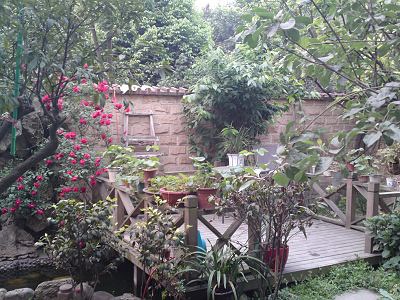 女性花園九型圖哪個好——深度解析與對比，女性花園九型圖深度解析與對比，哪個更好？