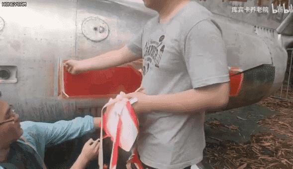 揭秘全球頂尖戰(zhàn)斗機(jī)，圖片及其名稱，全球頂尖戰(zhàn)斗機(jī)揭秘，名稱與圖片全解析