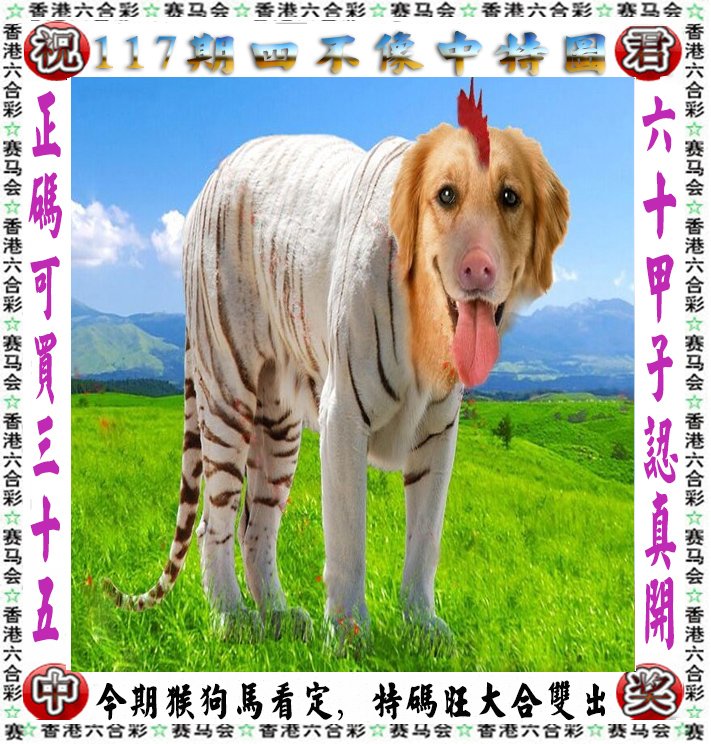 探索神秘，四不像一肖圖王中王的獨特魅力，四不像一肖圖王中王，神秘魅力的獨特探索