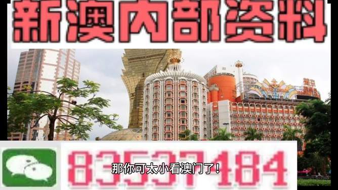 關(guān)于新澳門資料大全免費的探討與警示——警惕違法犯罪問題，關(guān)于新澳門資料大全免費的探討與警示，警惕違法犯罪風(fēng)險