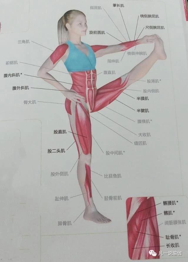 瑜伽課程費用詳解，一個月需要多少錢？，瑜伽課程費用全面解析，每月費用知多少？