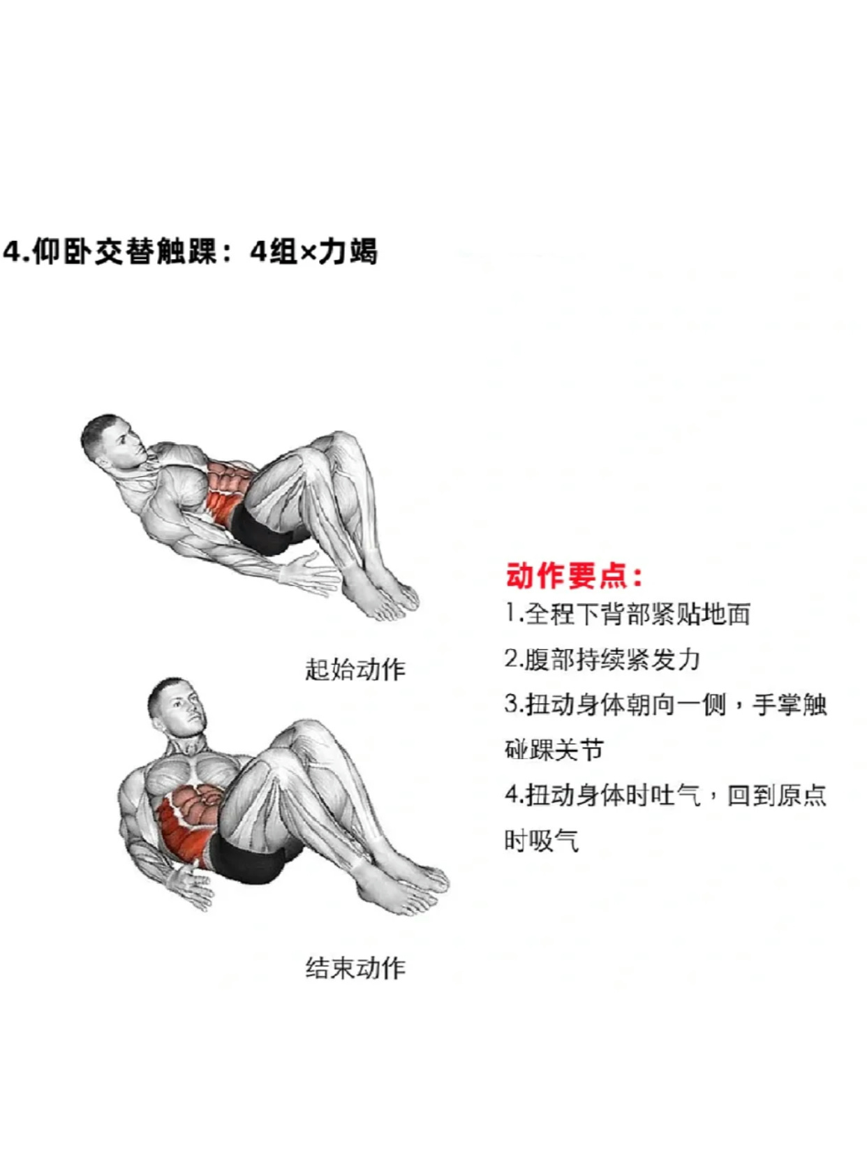 塑造完美身材，高效的腹肌訓(xùn)練方法，高效腹肌訓(xùn)練，塑造完美身材秘籍