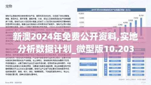 新澳2025今晚開獎資料詳解，新澳2025今晚開獎資料全面解析