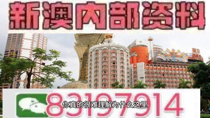 探索未來澳門，2025年的精彩瞬間與預(yù)測分析，澳門未來展望，2025年精彩瞬間與預(yù)測分析