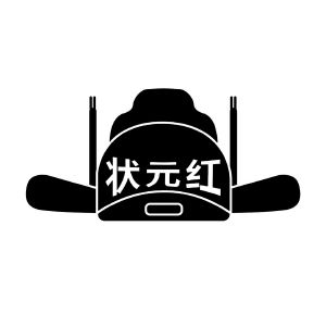 狀元紅論壇——資料中心的深度探索，狀元紅論壇，資料中心的深度探索之旅