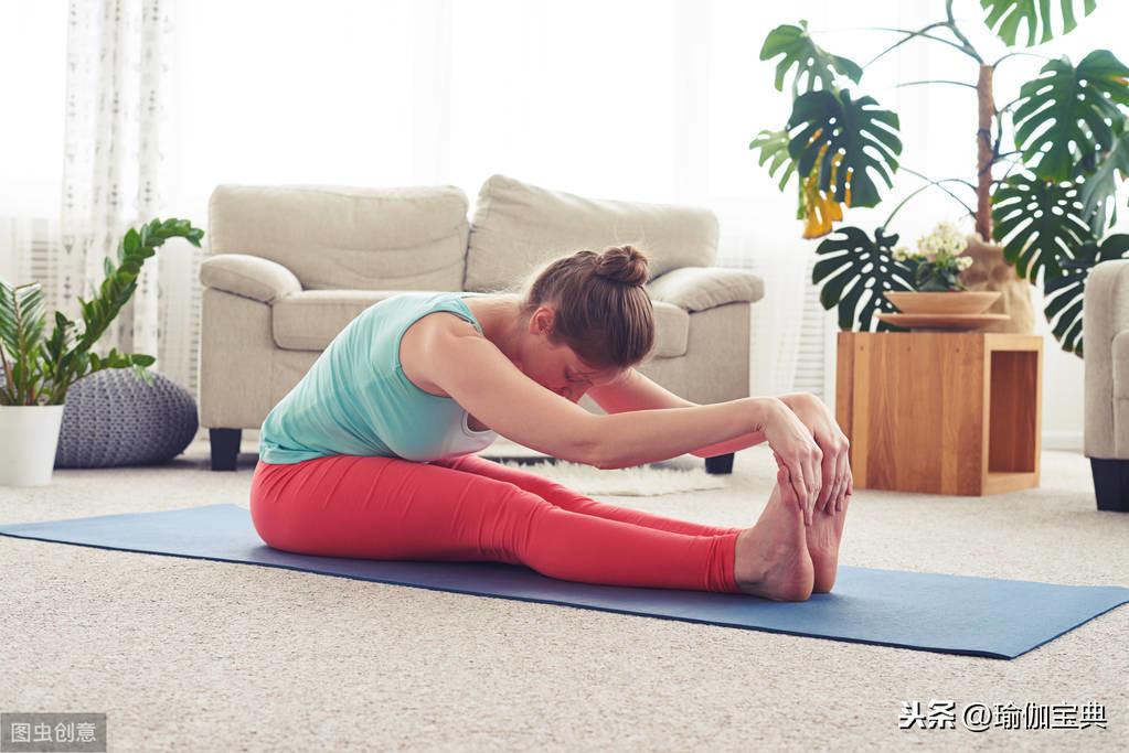 瑜伽視頻教程，30分鐘初級入門指南，瑜伽初級入門指南，30分鐘視頻教程