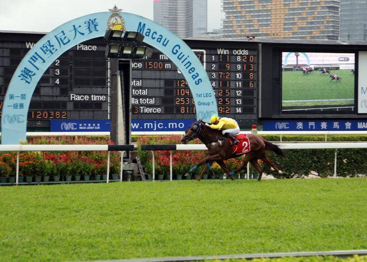 澳門賽馬會，歷史、文化與運動的完美結(jié)合，澳門賽馬會，歷史、文化與運動的絢麗交融