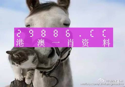 新澳門一肖一碼中恃馬，探索與解讀，澳門一肖一碼中恃馬，解讀與探索指南