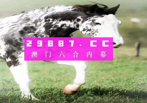 香港內部最準的一肖一碼，探尋背后的真相與理性看待，香港內部最準的一肖一碼，揭秘真相與理性解讀
