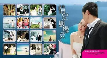 十個免費跨國婚戀網(wǎng)，探索國際愛情的橋梁，十個免費跨國婚戀網(wǎng)站，國際愛情的橋梁探索
