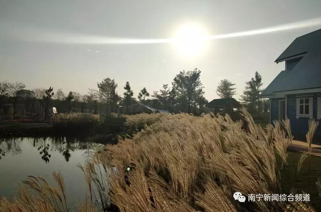 濟南園博園門票價格詳解，濟南園博園門票價格全面解析