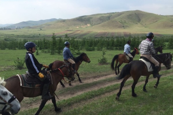 澳門特馬最快開獎(jiǎng)結(jié)果，探索與解析，澳門特馬最新開獎(jiǎng)結(jié)果解析與探索