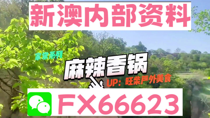 新澳精準(zhǔn)資料免費(fèi)提供的深度解析與實(shí)際應(yīng)用，新澳精準(zhǔn)資料深度解析與免費(fèi)應(yīng)用指南
