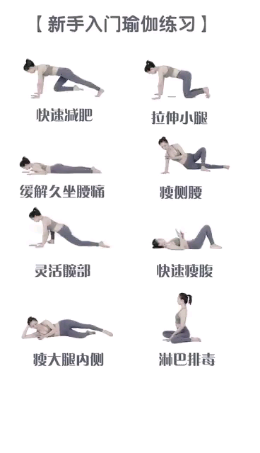 瑜伽入門，基本動作詳解及圖片指導，瑜伽入門指南，基本動作詳解與圖片指導