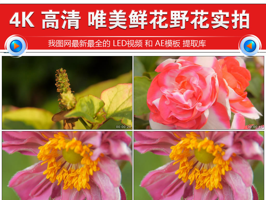 junlan 第10頁(yè)