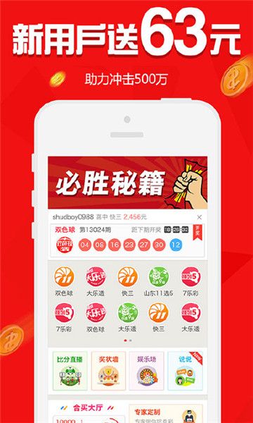 新澳門精準四肖期中特公開，探索與解析，澳門精準四肖期中特公開，深度探索與解析
