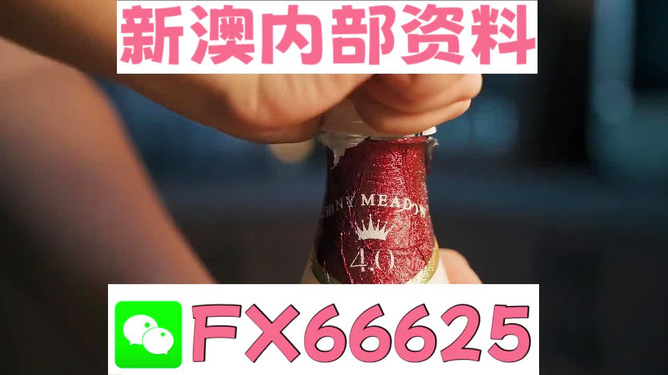 新澳門碼資料49圖庫(kù)，探索與解析，新澳門碼資料49圖庫(kù)，深度探索與解析