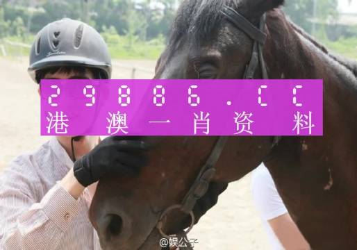 澳門一肖一碼必中一肖，探索背后的秘密與策略，澳門一肖一碼必中秘訣探索與策略揭秘