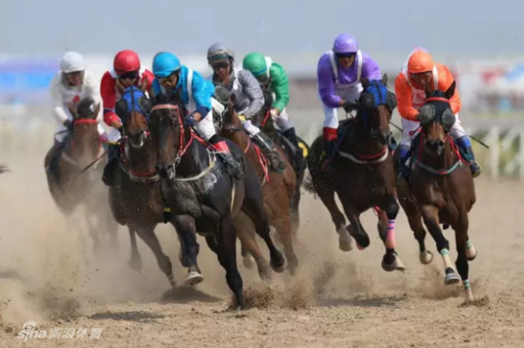 澳門特馬今晚開獎(jiǎng)結(jié)果及其背后的故事，澳門特馬今晚開獎(jiǎng)結(jié)果揭秘，背后的故事引人關(guān)注