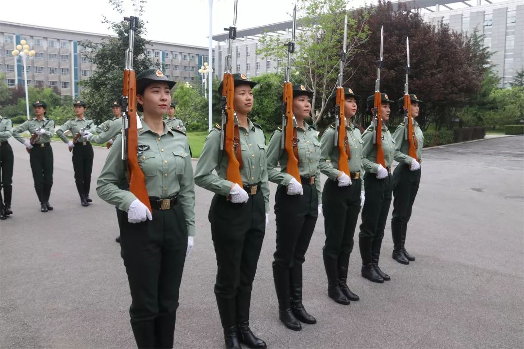 儀仗隊(duì)女兵退伍，榮耀與未來的交織，儀仗隊(duì)女兵退伍，榮耀與未來的碰撞